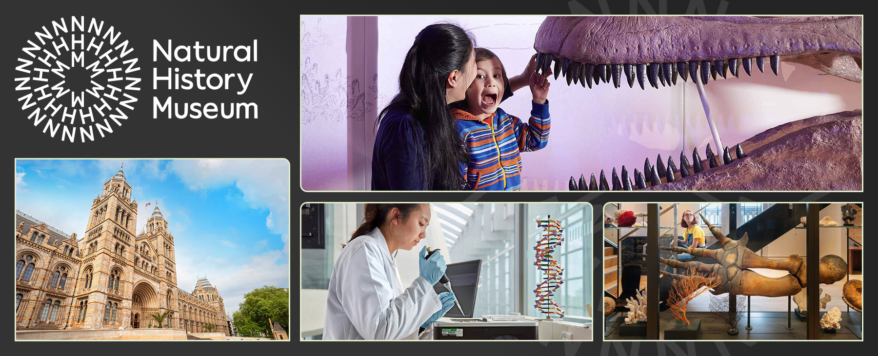 Subscribe to Unlock company name logo