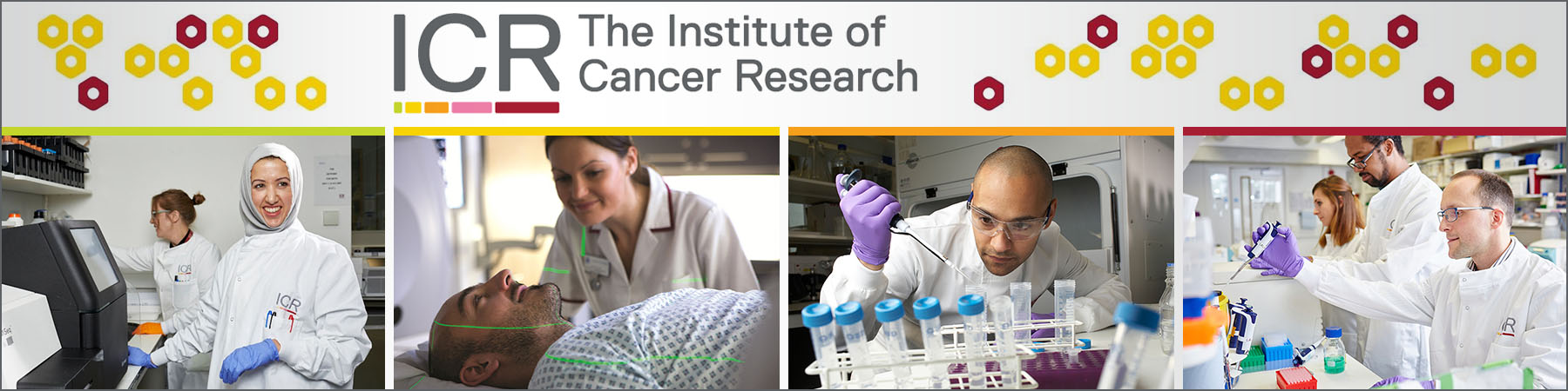 The Institute of Cancer Research logo